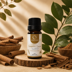 Organic Cinnamon Essential Oil